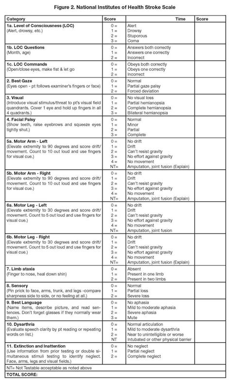 stroke übersetzung|stroke englisch deutsch.